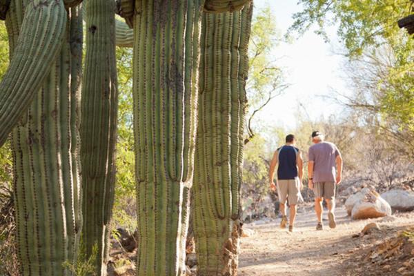 Canyon Ranch Tucson Mount Lemmont Zewnętrze zdjęcie