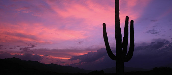 Canyon Ranch Tucson Mount Lemmont Zewnętrze zdjęcie